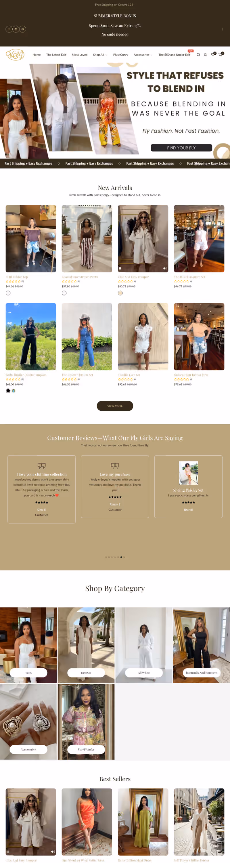 Fly VSJ website screenshot